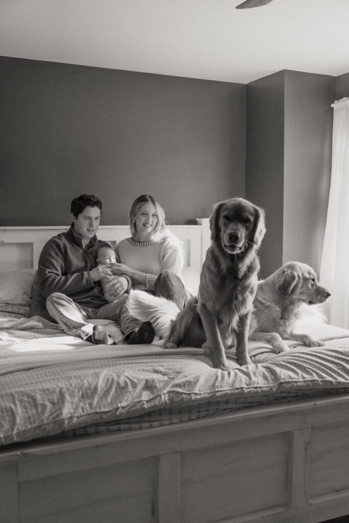 mom and dad with newborn and dogs on their bed in home