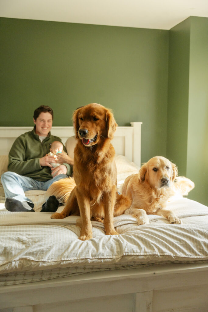 in home family session with dogs 